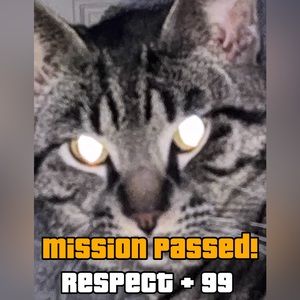 Meet your Posher, Joseph